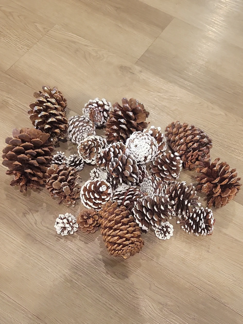 Holiday Pinecone Bundle